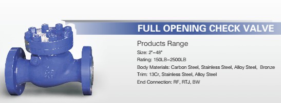 Check valve