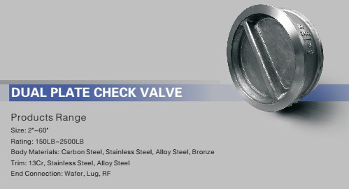 Check valve