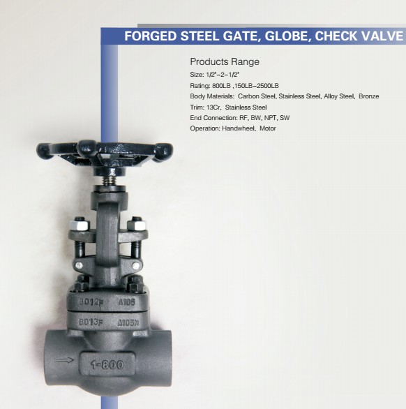 Forged steel valve