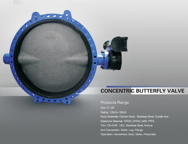 butterfly valve